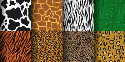 Animal print seamless pattern, tiger, leopard skin background. Cheetah, zebra, giraffe skins, wild jungle animals prints texture vector set
