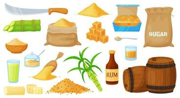 Cartoon brown cane sugar, sugarcane products manufacturing. Sugar cane plant harvest, heap and leaves, rum bottle and barrels vector set