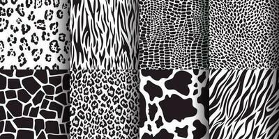 Animal skin seamless pattern, giraffe, leopard, tiger, cow prints. Wildlife animals print texture, zebra, cheetah skins patterns vector set