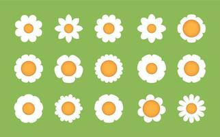 Chamomile flower. White blooming daisy icons flat cartoon style, cute floral botanical decoration spring plant growing concept. Vector isolated set