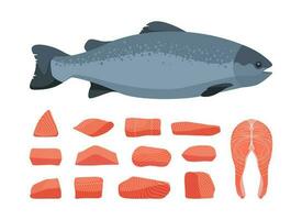 Salmon fish. Cartoon red trout raw steaks unprepared fillet, seafood restaurant menu appetizing meal healthy nutritious diet concept. Vector isolated set