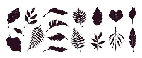 Tropical leaves silhouettes. Exotic botanical summer plants, monochrome floral jungle foliage decorative elements. Vector collection