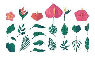 exótico hojas y flores dibujos animados tropical decorativo floral elementos, botánico florístico ramo de flores florecer palma hoja. vector vistoso aislado colección