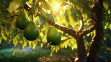 generativo ai, aguacate plantación, creciente Fruta colgando en el árbol. foto