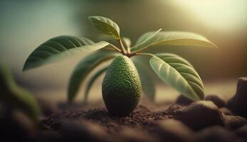 generativo ai, aguacate plantación, creciente Fruta colgando en el árbol. foto