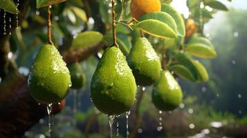 generativo ai, aguacate plantación, creciente Fruta colgando en el árbol. foto