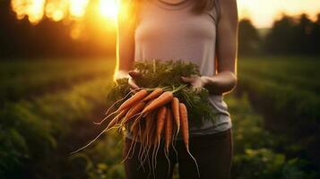 Generative AI, vegetables in the hands of a woman farmer in the garden, carrots from the ground, a good harvest of eco products. photo