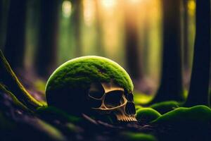 Skull in Mold or Moss in Nature Forest photo