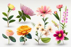 Flower Illustration Set Flat Lay photo