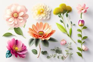 Flower Illustration Set Flat Lay photo