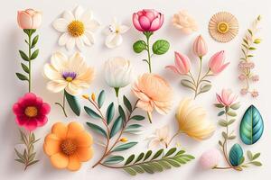 Flower Illustration Set Flat Lay photo