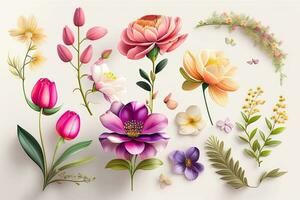 Flower Illustration Set Flat Lay photo