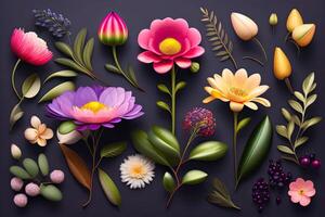 Flower Illustration Set Flat Lay photo