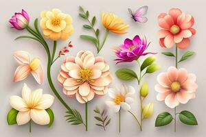 Flower Illustration Set Flat Lay photo