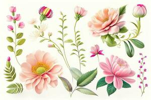 Flower Illustration Set Flat Lay photo