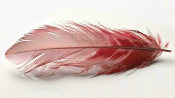 an old red feather which is drawn on a white background, in the style of light red and light pink, sketchfab, transparent translucent medium, bold colours, generat ai photo
