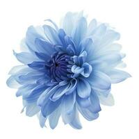 Blue flower isolated on white background, png with transparency , generate ai photo