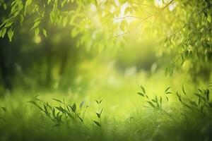 Natural green defocused spring summer blurred background with sunshine. Juicy young grass and foliage on nature in rays of sunlight, scenic framing, copy space photo