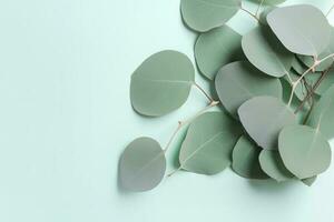 Natural eucalyptus leaves on mint pastel green background. Flat lay floral composition, top view, copy space, generate ai photo