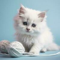 encantador mullido blanco muñeca de trapo gato jugando en un ligero habitación y mirando espalda con hermosa azul ojos. adorable de pura raza felino mascota al aire libre, generar ai foto