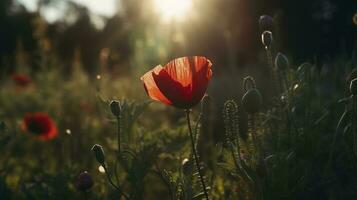 A stunning photo captures the golden hour in a field of radiant red poppies, symbolizing the beauty, resilience, and strength of nature, generate ai