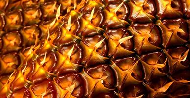 Realistic pineapple texture. Close-up pineapple skin, tropical pattern, fruit banner - image photo