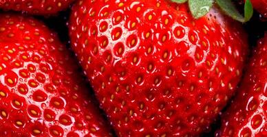 Strawberry. Macro of fresh organic natural berries. Fruit red background - AI generated image photo