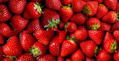 Eco strawberry. Macro of fresh organic natural berries. Fruit red background - AI generated image photo