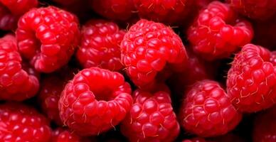 Eco raspberry. Macro of fresh organic natural berries. Fruit red background - AI generated image photo