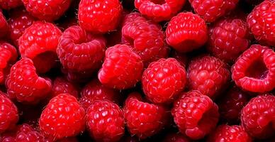 Eco raspberry. Macro of fresh organic natural berries. Fruit red background - AI generated image photo