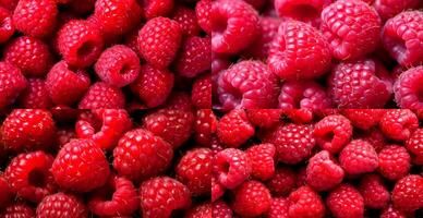 Eco raspberry. Macro of fresh organic natural berries. Fruit red background - AI generated image photo