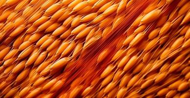 Wheat grains, flour, bakery background - image photo