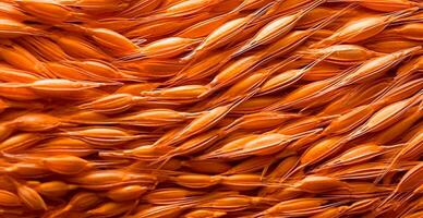 Wheat grains, flour, bakery background - image photo
