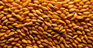 Wheat grains, flour, bakery background - AI generated image photo