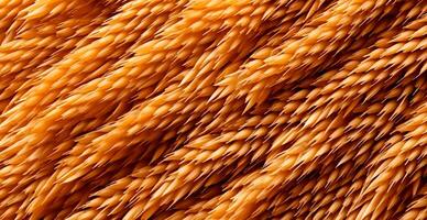 Wheat grains, flour, bakery background - image photo