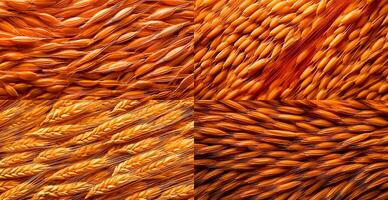 Wheat grains, flour, bakery background - AI generated image photo