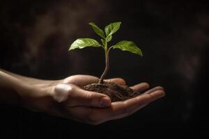 mano participación un joven planta con negro antecedentes y luz solar. eco concepto tierra día. ai generado foto