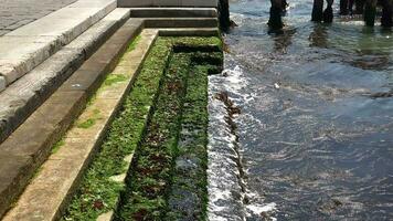 Mossy Concrete Ladder Entering the Water at Dock video