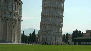 multitud de turistas alrededor el propensión torre de Pisa video