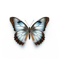 Tropical butterfly isolated. Illustration AI Generative photo
