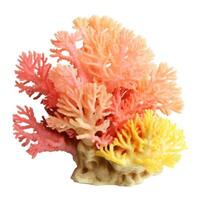 Coral reef isolated. Illustration photo