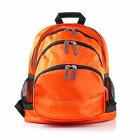 School backpack isolated. Illustration photo