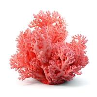 Coral reef isolated. Illustration photo