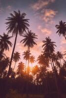 Palm tropical background. Illustration photo