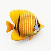 Butterfly fish isolated. Illustration photo