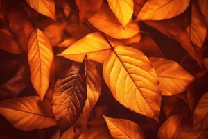 Autumn Leaves Background. Illustration AI Generative photo