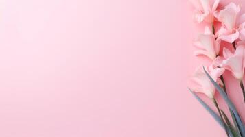 Gladioli minimalist background. Illustration photo