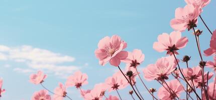 Pink poppy flowers background. Illustration AI Generative photo