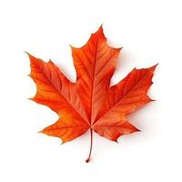 Autumn leaf isolated. Illustration AI Generative photo