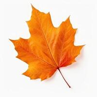 Autumn leaf isolated. Illustration AI Generative photo